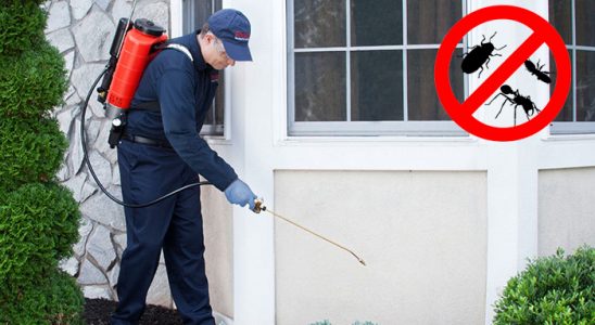 Adaklı Böcek İlaçlama böcek ilaçlama ve haşere kontrolü — ilaclama-tr.com